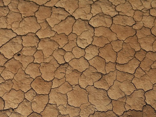 Eventi meteo estremi L’impatto economico di inondazioni, siccità e ondate di calore in Europa